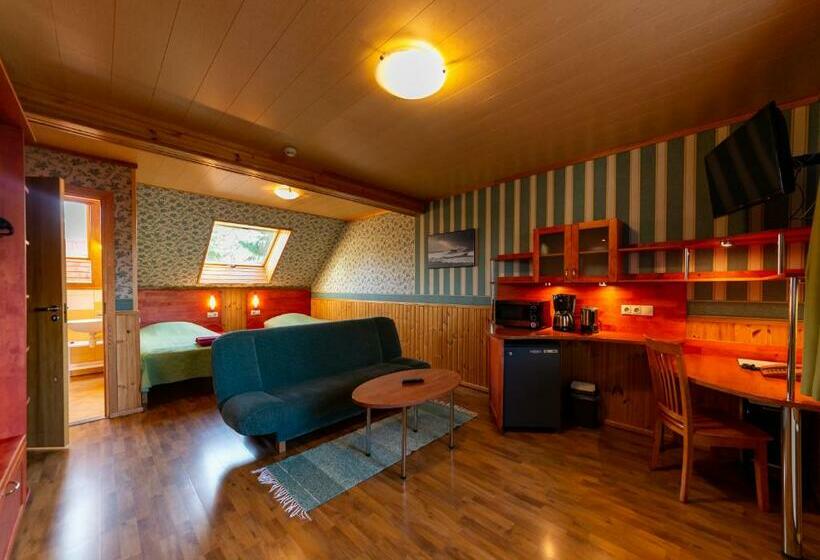 آپارتمان 1 خوابه, Padu Hotell