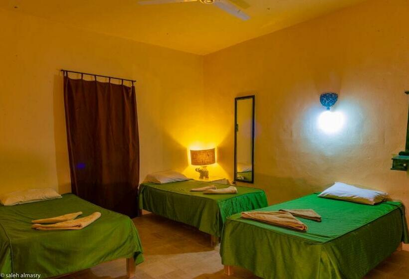 اتاق استاندارد سه نفره, Siwa Shali Resort