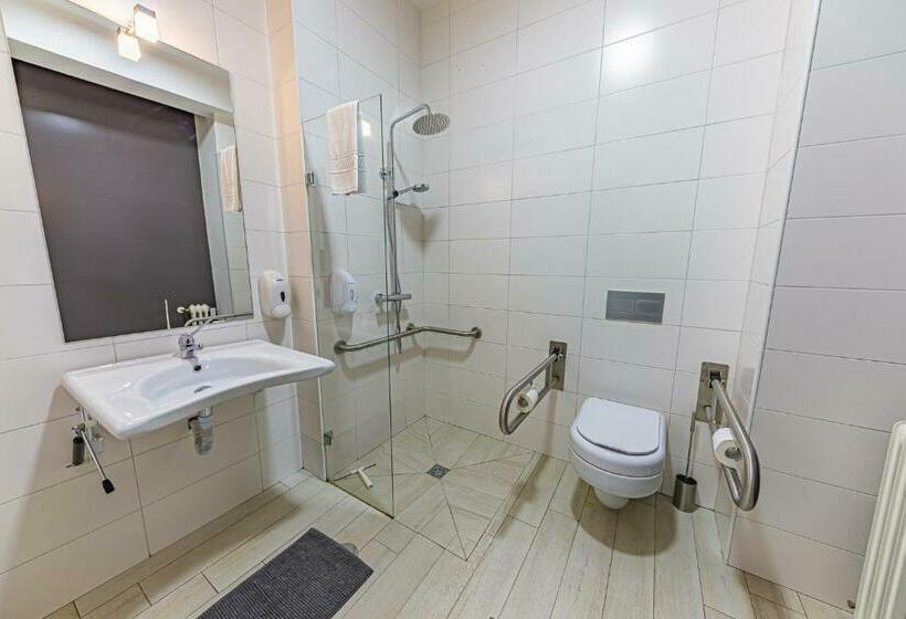 اتاق استاندارد برای معلولان, Hi Viseu   Pousada De Juventude