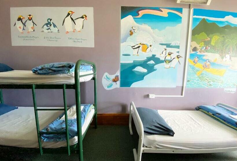 מיטה בחדר משותף, Noah's Ark Backpackers