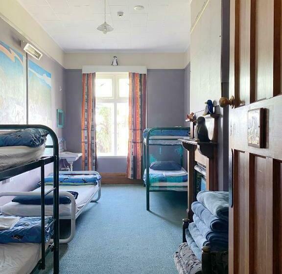 מיטה בחדר משותף, Noah's Ark Backpackers