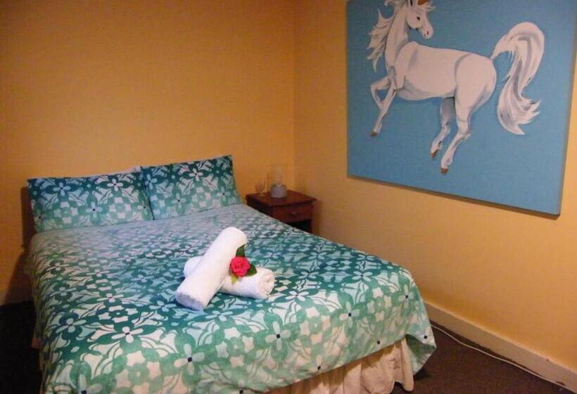 חדר אקונומי, Noah's Ark Backpackers