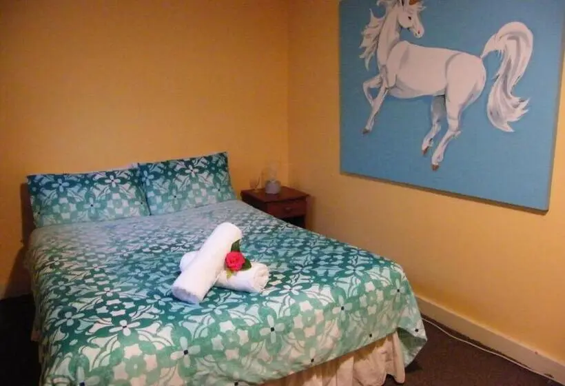 Economy-huone, Noah's Ark Backpackers