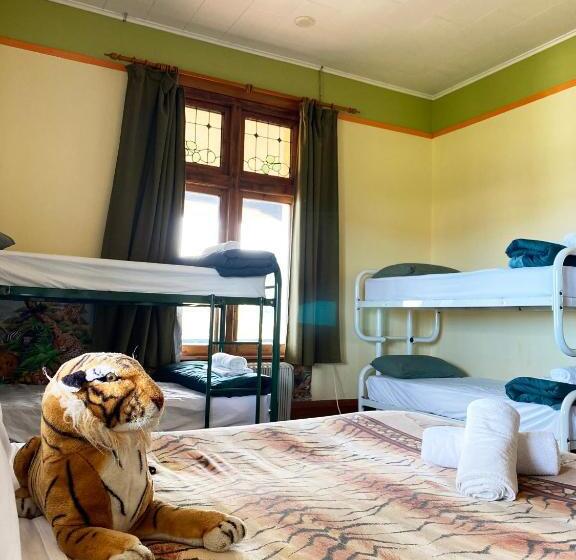 חדר משפחתי קלאסי, Noah's Ark Backpackers