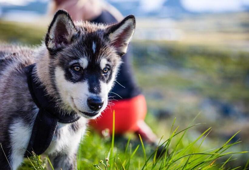 הכלכלה חדר לארבעה עם מקלחת משותפת, Stf Abisko Turiststation