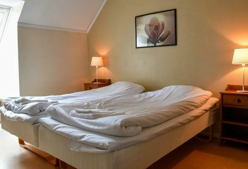 エコノミールーム, Wisingsö Hotell