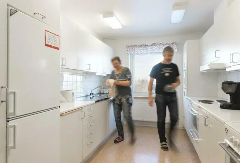 Lit en Chambre Commune, Stf Orsa Hostel