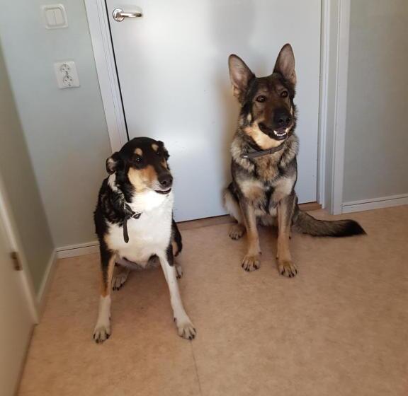 4인용 스탠다드 룸, Stf Orsa Hostel