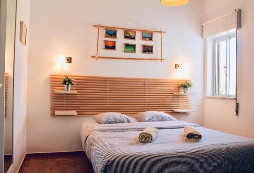 غرفة قياسية, The Lighthouse Hostel