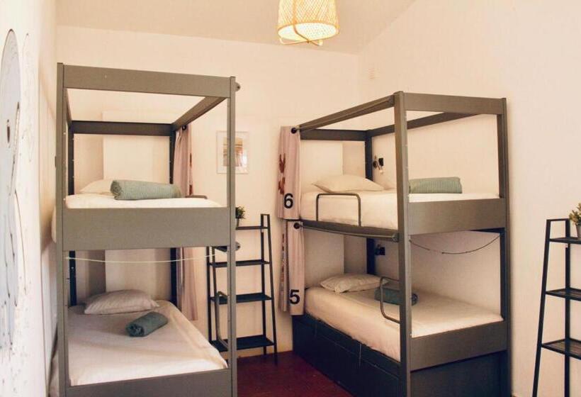 공동 객실, The Lighthouse Hostel