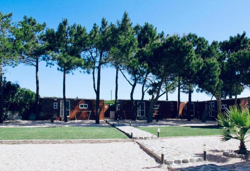 بنجلو قياسى غرفتين نوم, The Lighthouse Hostel