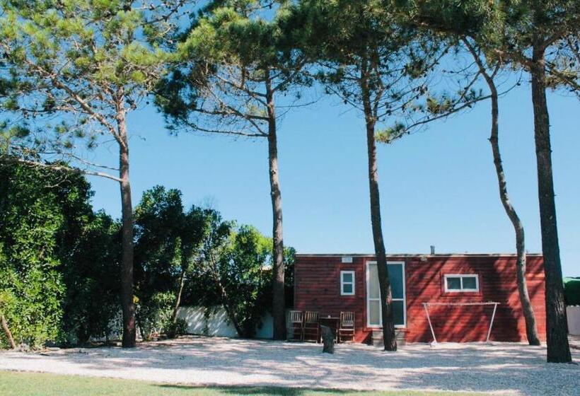 بنجلو قياسى غرفتين نوم, The Lighthouse Hostel