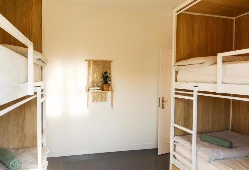 سرير فى غرفة مشتركه, The Lighthouse Hostel