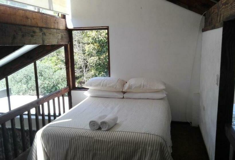 Студия Стандарт, Waters Edge B&b