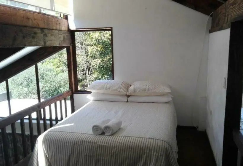Standard-studio, Waters Edge B&b