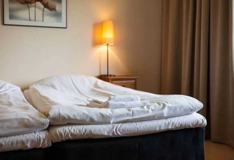 ベーシックルーム, Wisingsö Hotell