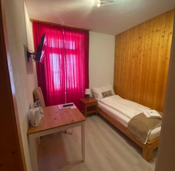 חדר סטנדרט יחיד, Hasli Lodge