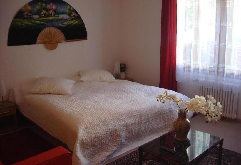 חדר פרמיום לארבעה, Hasli Lodge