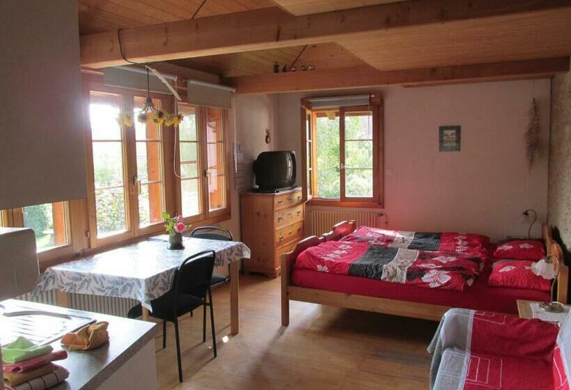 חדר סטודיו סטנדרד, Bnb Erlach