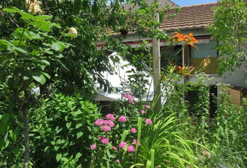 דירת דופלקס בת חדר שינה 1, Bnb Erlach