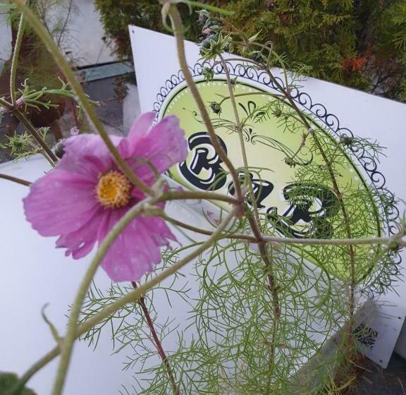 스탠다드 싱글 룸 공동욕실, Bnb Haus Weibel