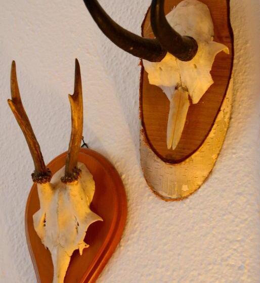 스탠다드 룸 공동 욕실, Bnb Haus Weibel