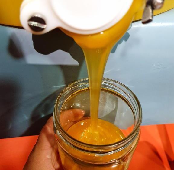 발코니가 있는 2 베드룸 아파트, Bnb Haus Weibel