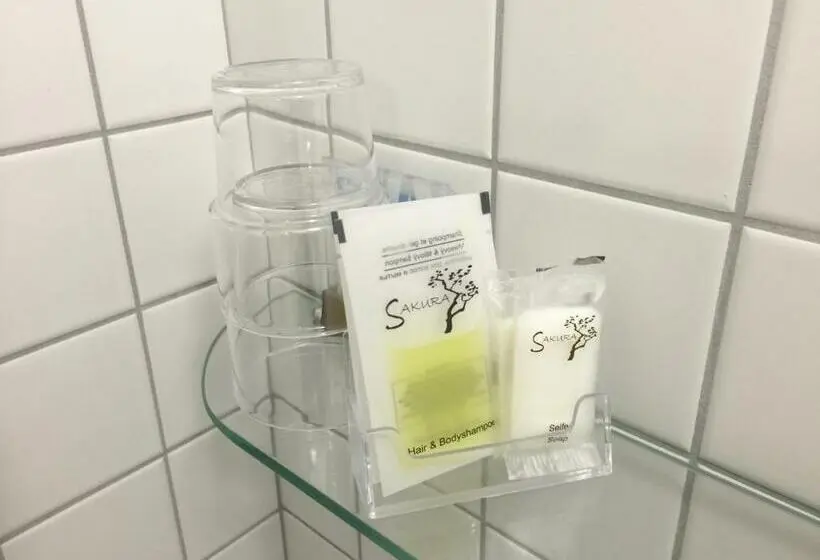 エコノミールーム, Bed Bike And Breakfast Olten