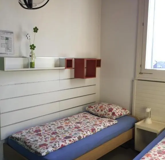 Standard-huone Jaettu Kylpyhuone, Ostello Montebello Bellinzona Youth Hostel