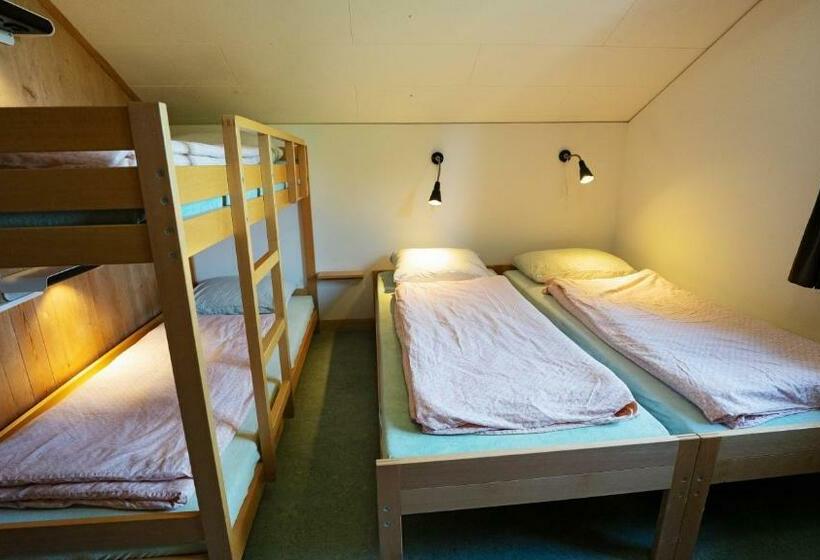 غرفة قياسية رباعية حمام مشترك, Brienz Youth Hostel