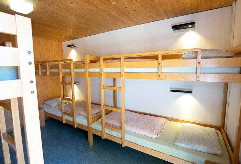 غرفة قياسية حمام مشترك, Brienz Youth Hostel