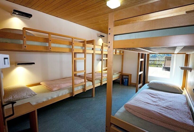 غرفة قياسية حمام مشترك, Brienz Youth Hostel