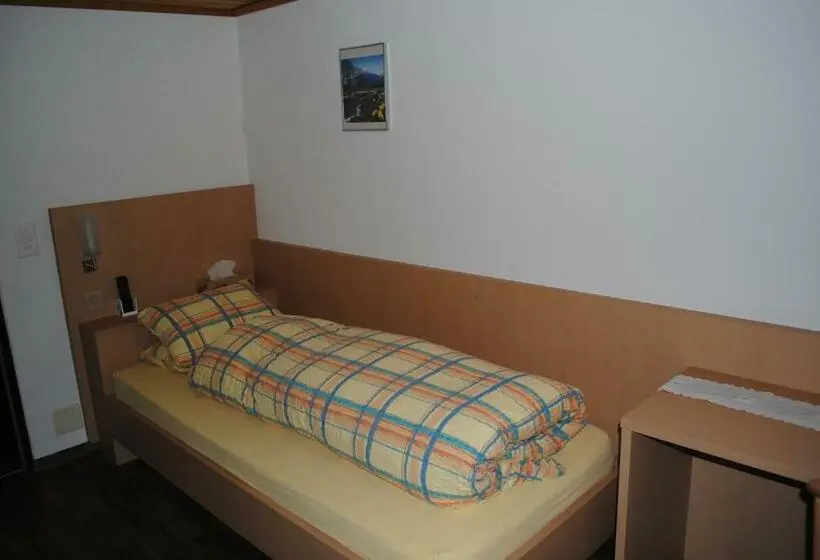 Standard Yhden Hengen Huone, Des Alpes