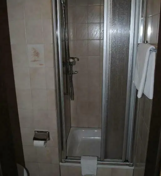 Standard Yhden Hengen Huone, Des Alpes