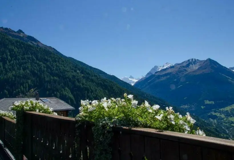スーペリアールーム, Hôtel Le Grand Chalet Favre