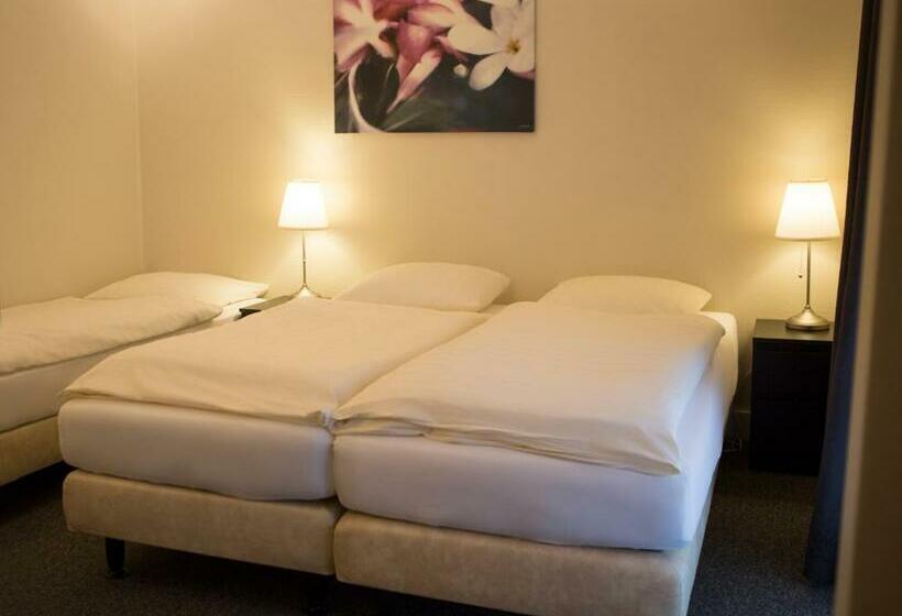 غرفة قياسية ذات إطلالة, Sevenster Delden