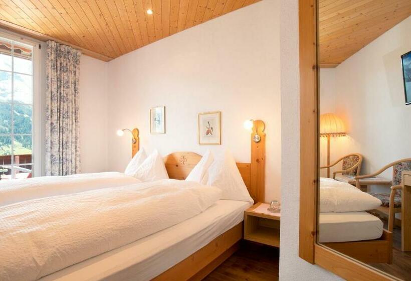 Standard Værelse m. Udsigt, Sonnenberg