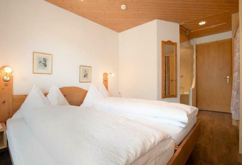 Standard Værelse m. Udsigt, Sonnenberg