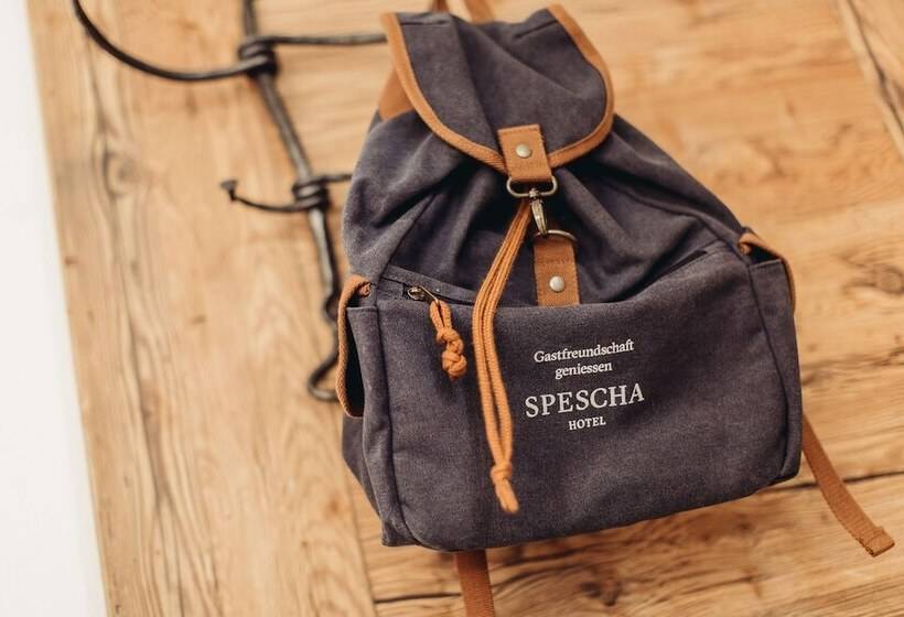 غرفة قياسية, Spescha