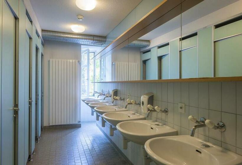Кровать в Общей Комнате, Schaffhausen Youth Hostel