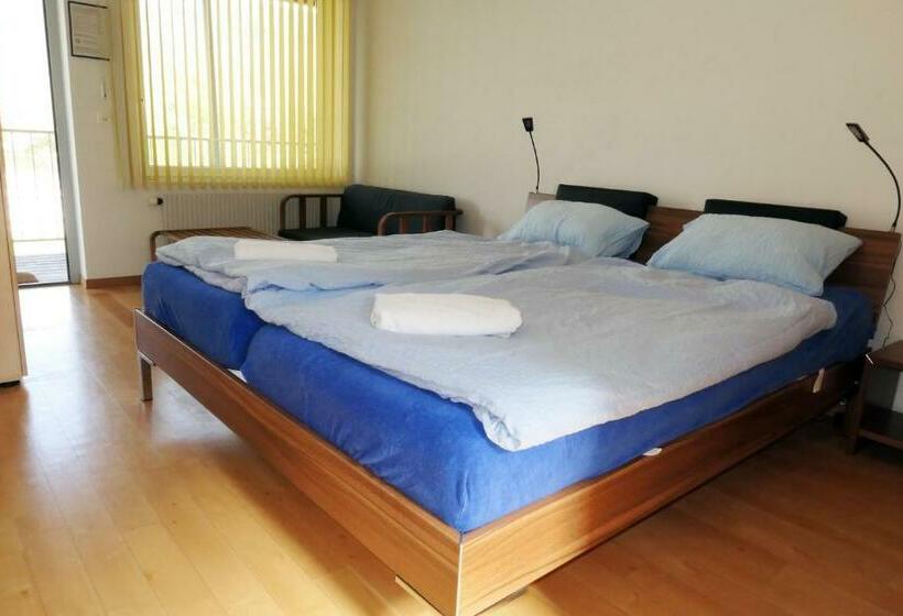 חדר אקונומי, Swiss Hostel Lago Lodge