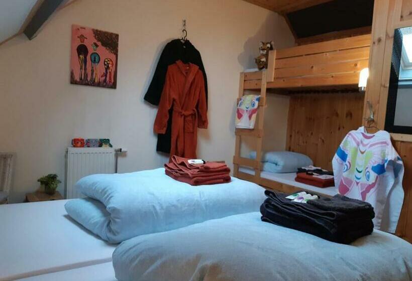 شقة غرفة واحدة, B&b Nieuwleusen