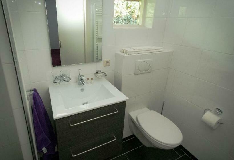 חדר סטנדרט, De Violier