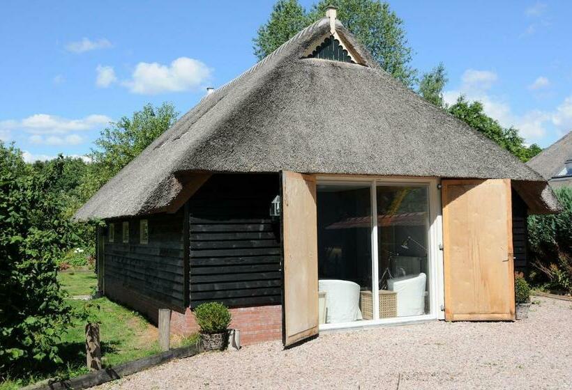 חדר סטנדרט, De Violier