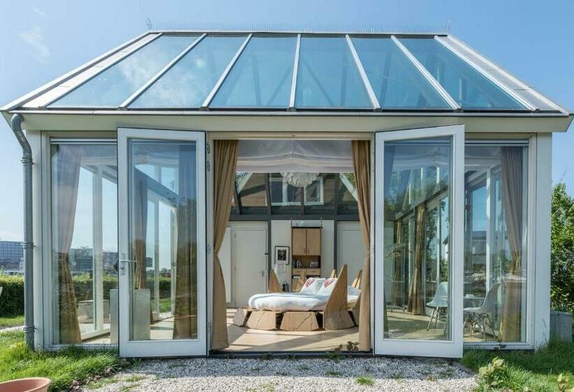 اتاق استاندارد با تخت بزرگ, The Panorama Suite