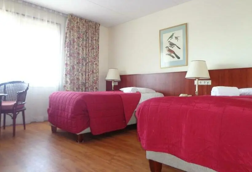 Standard Room, De Rijper Eilanden
