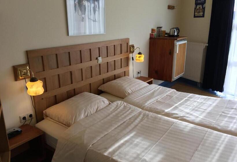 غرفة قياسية مزوَّدة بتراس, Carels Kamers Texel