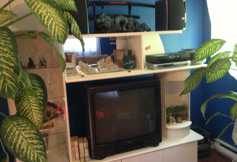 스탠다드 룸, Chez Lulu Et Lutin