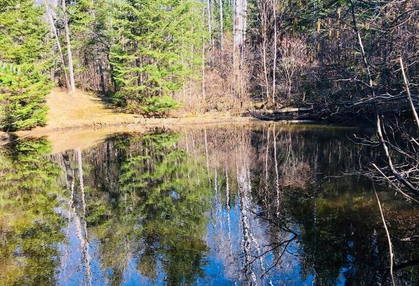 סוויטה משפחתית, Gîte De La Montagne Enchantée