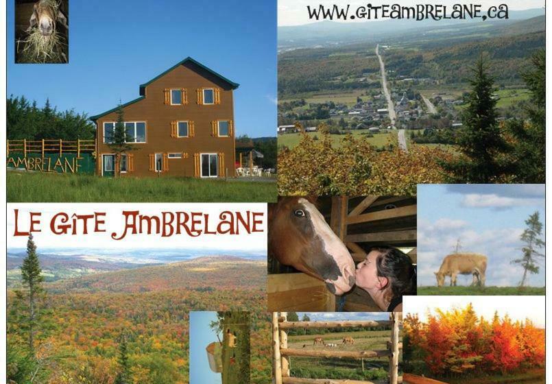 スイート, Le Gîte Ambrelane